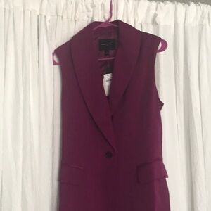 Banana Republic Fuchsia Wide Leg Pants suit